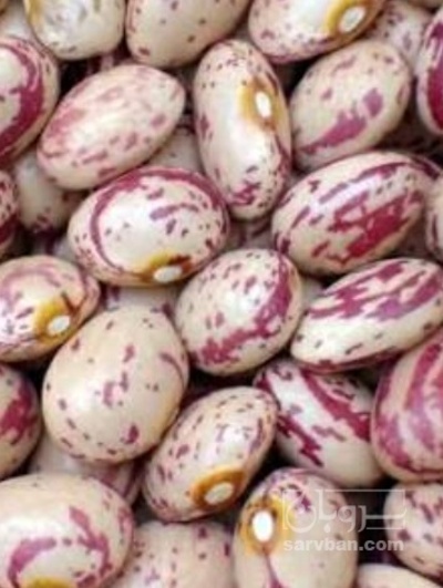 فروش لوبیا چیتی