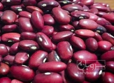 فروش لوبیا قرمز