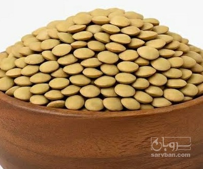 فروش عدس