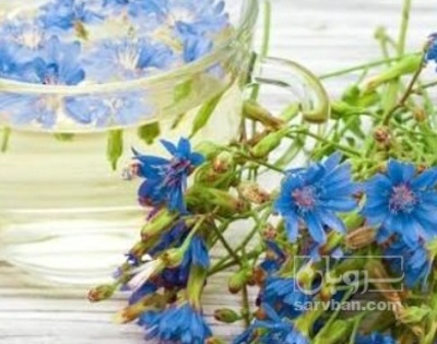 فروش عرق کاسنی