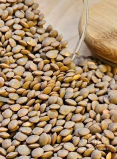 فروش عدس