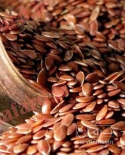 فروش کتان (گیاه الیافی)