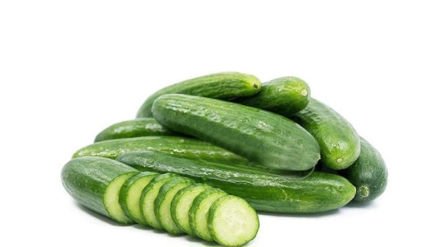 فروش خیار