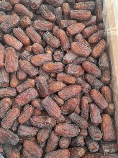 فروش خرما