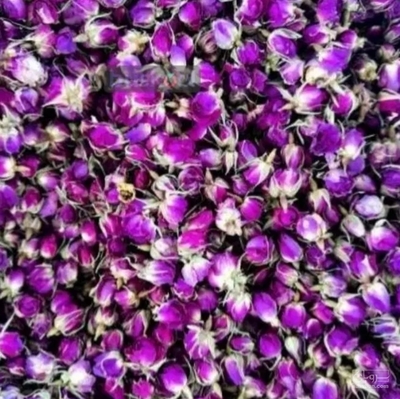فروش گل محمدی (گیاه‌ دارویی)