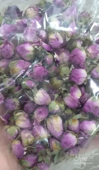فروش گل محمدی (گیاه‌ دارویی)