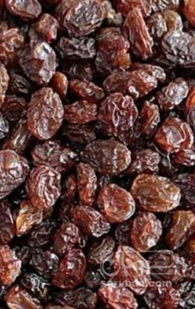 فروش کشمش