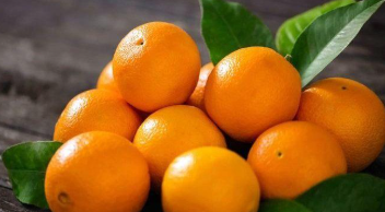 فروش پرتقال