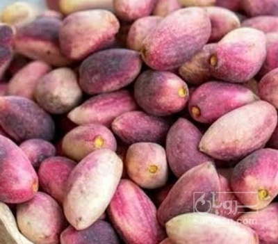فروش پسته تازه شاهپسند