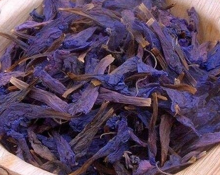 فروش گل گاو زبان - گاوزبان (گیاه‌ دارویی)