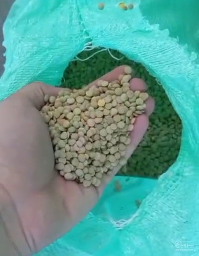 فروش عدس