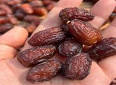 فروش خرما برهی