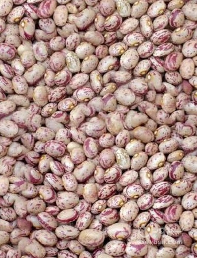 فروش لوبیا چیتی