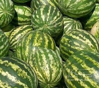 فروش هندوانه گرد