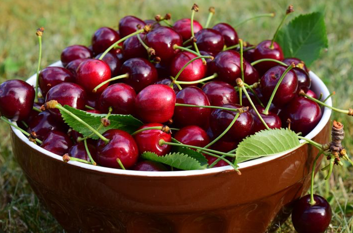 فروش گیلاس