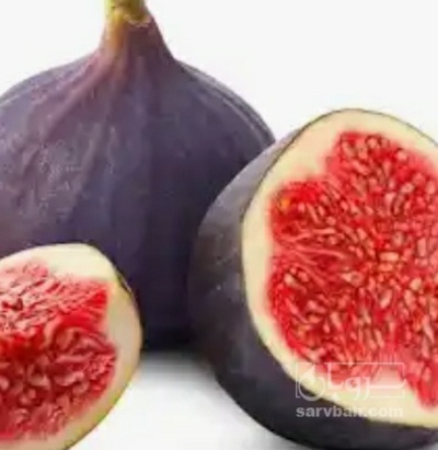 فروش انجیر