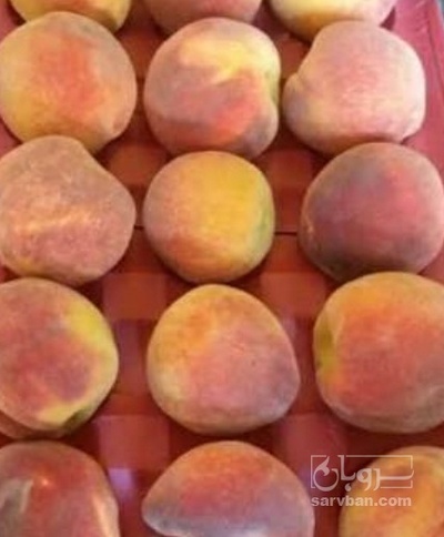 فروش هلو