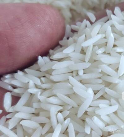 فروش برنج