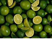 فروش لیمو ترش