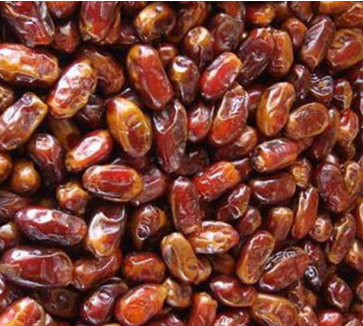 فروش خرما شاهانی