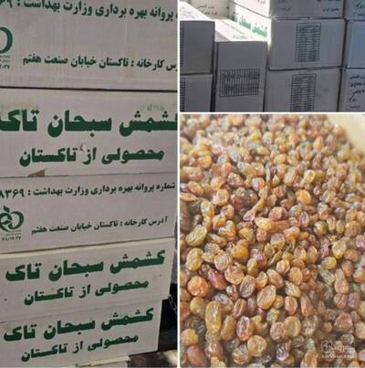فروش خرما