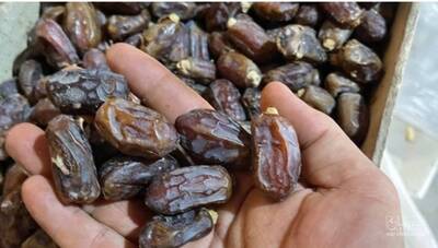 فروش خرما