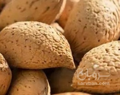 فروش بادام سنگی