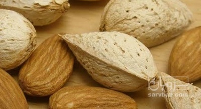 فروش بادام کاغذی