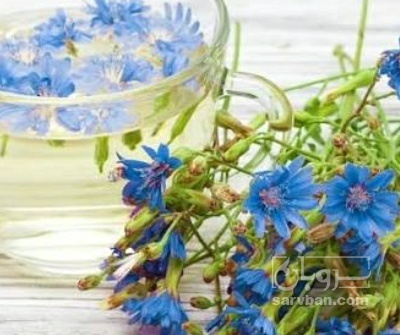 فروش عرق کاسنی