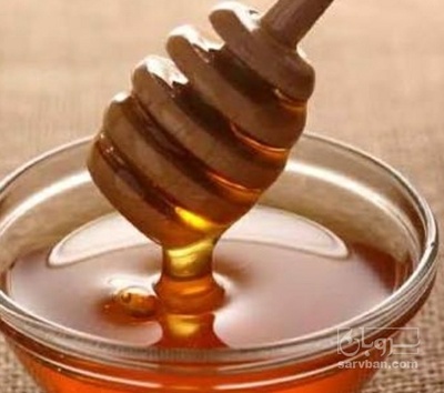 فروش عسل تغذیه