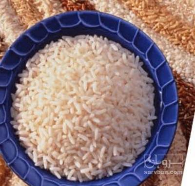 فروش برنج