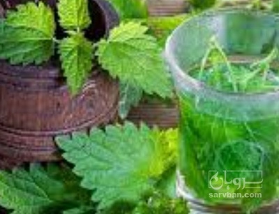 فروش عرق گزنه