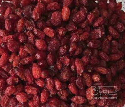 فروش زرشک