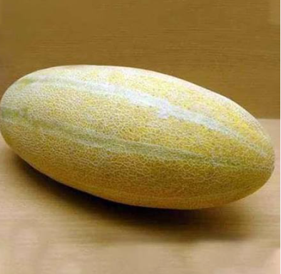 فروش خربزه