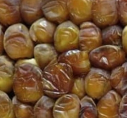 فروش خرما برحی