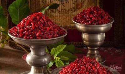 فروش زرشک