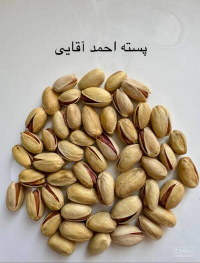 فروش پسته