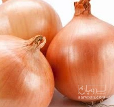 فروش پیاز