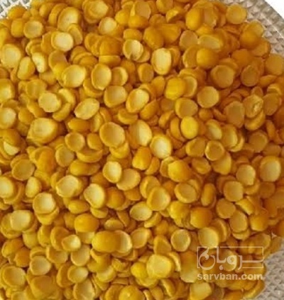 فروش نخود کفتری - لپه