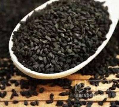 فروش  سیاه دانه