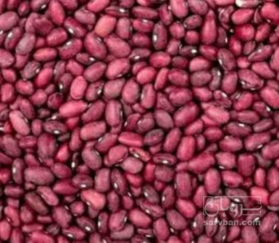 فروش لوبیا قرمز