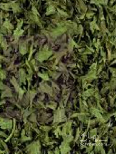 فروش مرزه (گیاه‌ دارویی)