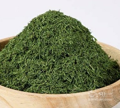 فروش شوید خشک (گیاه‌ دارویی)