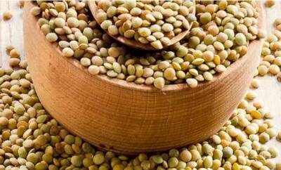 فروش عدس