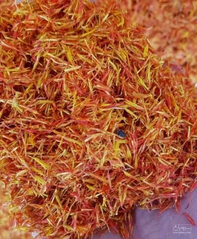 فروش گلرنگ
