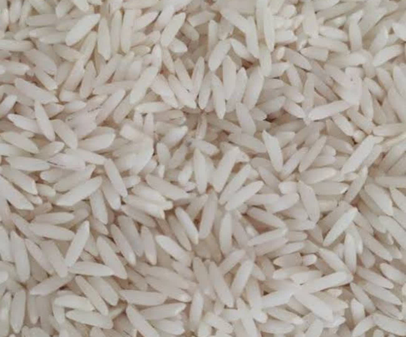 فروش برنج هاشمی