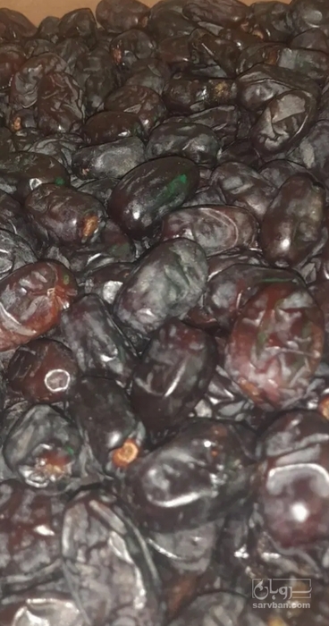 فروش خرما