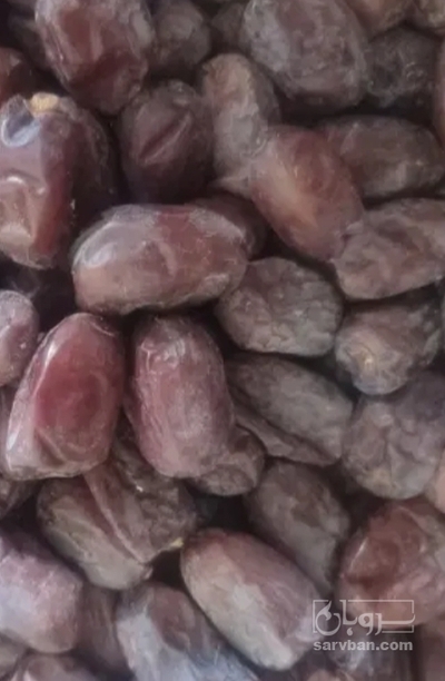 فروش خرما