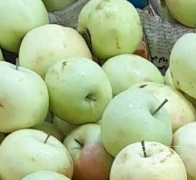 فروش سیب