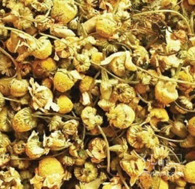 فروش بابونه (گیاه‌ دارویی)